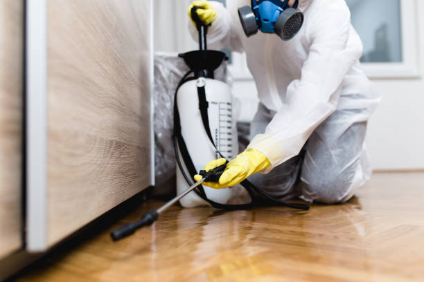 Best Mosquito Control Services  in Kyle, TX