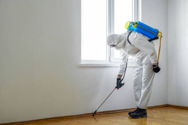 Best Bed Bug Extermination  in Kyle, TX