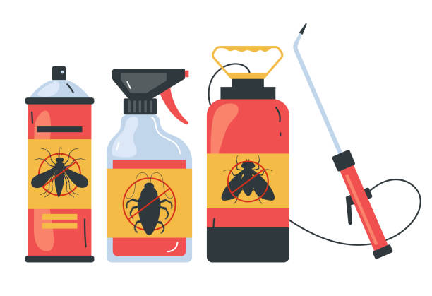 Best Local Pest Control Services  in Kyle, TX