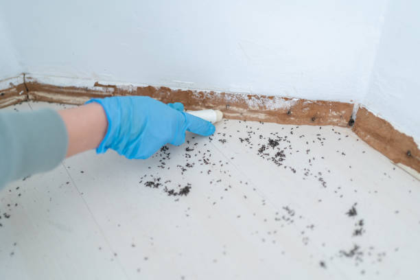 Kyle, TX Pest Control Company